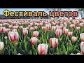 #8 Из Германии в Россию / Мы занимаемся пропагандой ?!!