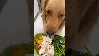 Drizzle some healthy extra virgin olive oil over your golden retriever’s meal