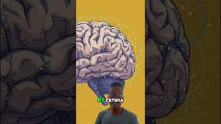 Top Crypto Projects: SingularityNet (AGIX) Deep Dive #shorts