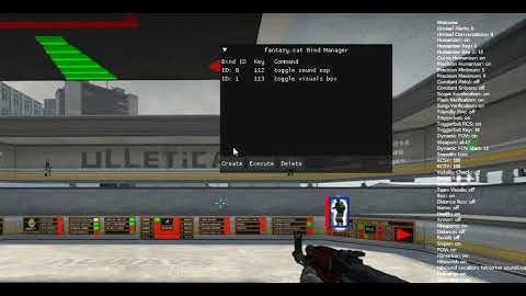 Bind Manager Using fantasy.cat SDK (CS:GO Legit Cheat) + Source