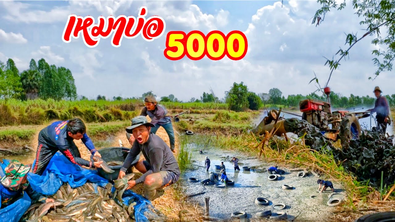 เหมาบ่อ 5000 คุ้มไหม? ปลาที่ได้กับราคานี้ ลุ้นกันตัวโก่ง