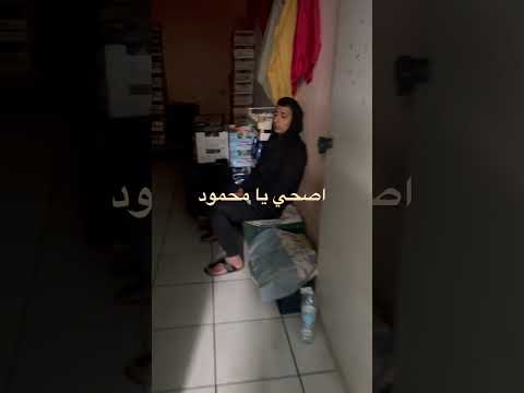 اصحي يا محمود Viral Foryou Explore Funny 