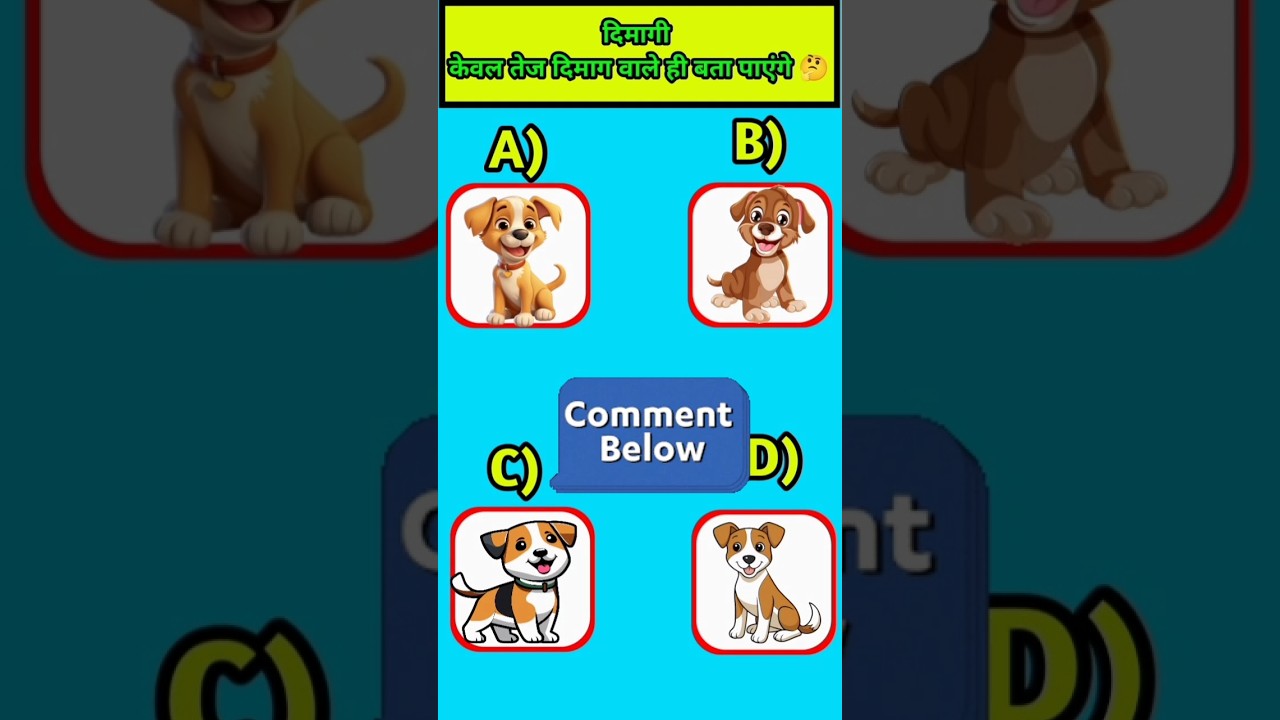 Dog Ka Color Kya Tha | Study With Boy | #shortsfeed #subscribe # ...