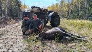 Я сам этому сперва не поверил... Таежные приключения часть 2