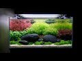 [어항 꾸미기] 2자광폭 수초항 튜토리얼 Easy aquascape tutorial