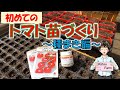 【トマトの苗づくり】今年からトマト苗の販売に挑戦します！たぶん育苗中は休みが無くなります(泣)