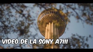 Videos de la Sony a7iii