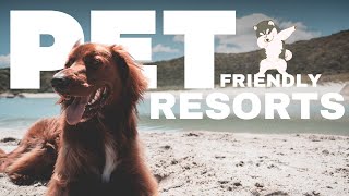 PET FRIENDLY BEACH RESORTS | Make your pets Happy this 2024!