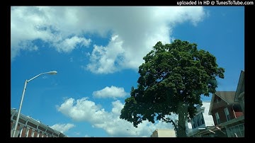 Roger Levy - First Sine