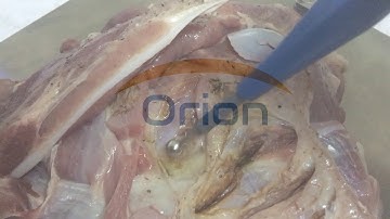 Electrosurgical unit Demo Video - ORION HA400