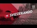 #Svizzerando e il ritorno del bisonte | RSI Info