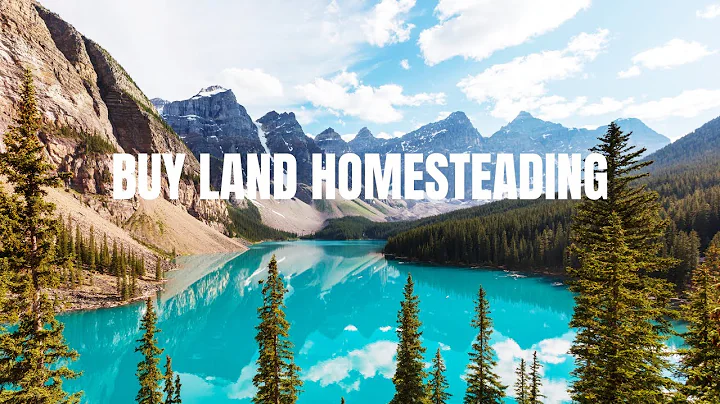 Top Cheapest Places You Can Buy Land  Homesteading and Tiny House
