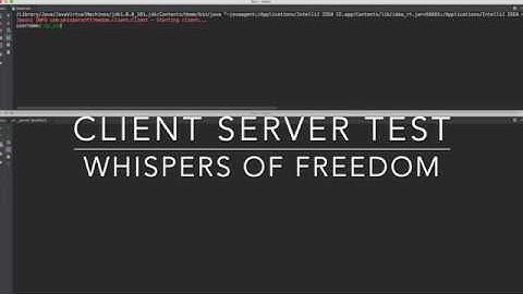 Whispers of Freedom | client server local testing | Postman, PacketSender | TCP, REST