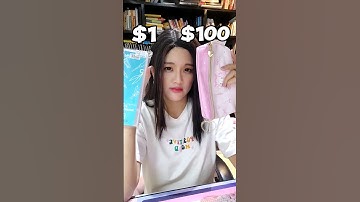 $1 Vs. $100 Pencil Case !