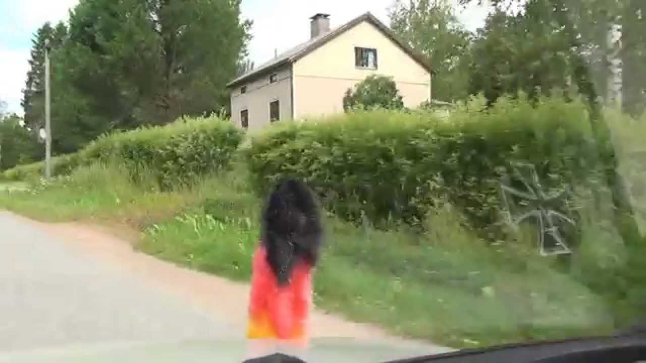 Partala Temppala Valkeejärvi Länkimäki Länkipohja Talviainen Eräslahti E63 Suomi Finland 11.7.2015