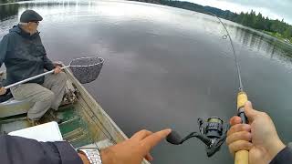 Trout  Kitsap Lake Washington State Has Excellent Fishing