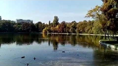 Allview V4 Viper, Video Sample