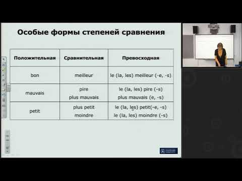 Местоименные прилагательные. Практическое занятие