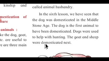 8. Beginning of Settled Life Part 1 EVS (Part 2) Std 5 Chapter Reading Maharashtra State Board