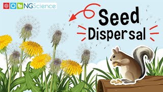 Seed Dispersal