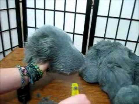 How to Shave Fake Fur