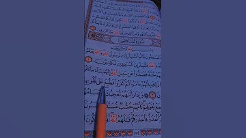 سورة المنافقون مكتوبة/الشيخ ماهر المعيقلي