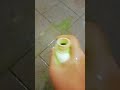 Look What I Just Found Guysss Funny Mcdonalds Gummybear Candy Memes Look What I Just Found Guysss Funny Mcdonalds Gummybear Candy Memes