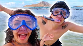 We Got Stranded in Hawaii Net Worth