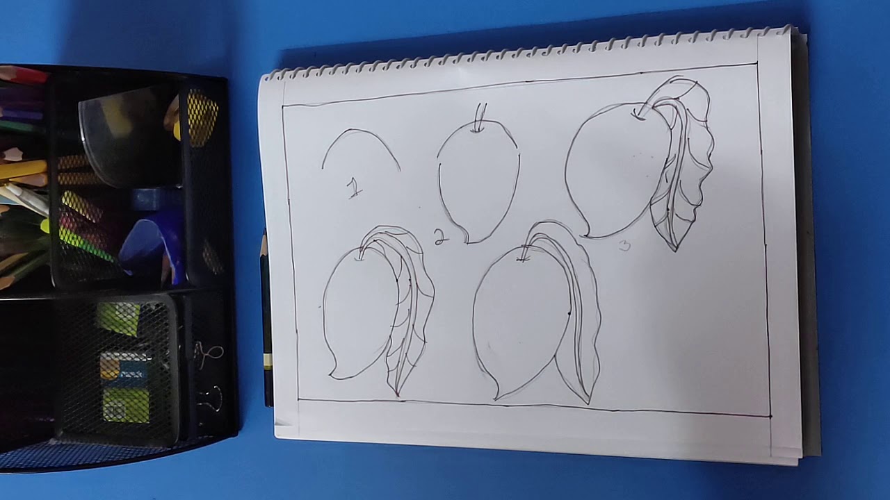 How to draw a Mango in 5 easy steps Pencil Shading Step by step
