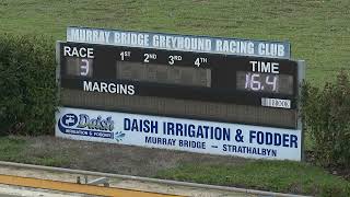 Murray-Bridge-21082026-Race-3
