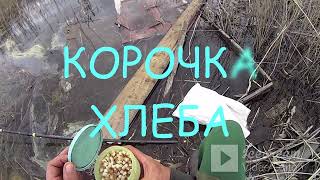 БЕШЕНЫЙ КЛЁВ КРУПНОГО КАРАСЯ на поплавочную удочку. Рыбалка в мае! Насадка - КОРОЧКА ХЛЕБА!