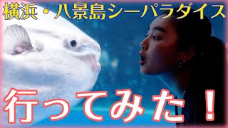 【八景島】シーパラに行ってきました♡