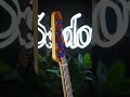 Sadowsky - Custom Shop #24-4429 Modern Bass #sadowskybasses