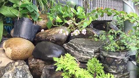 Ngắm thác nước nhân tạo tuyệt đẹp!