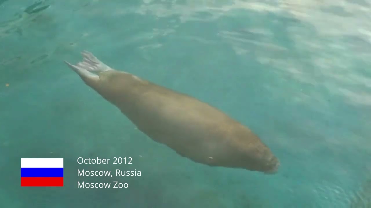 Moscow, Russia /// Moscow Zoo | October 2012 /// Vodo Travel