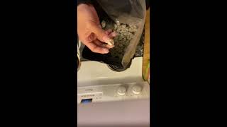 Cheapest THCA Pounds Explained | Tiers: Classic Reserve → Exotic Indoor (No Hype)