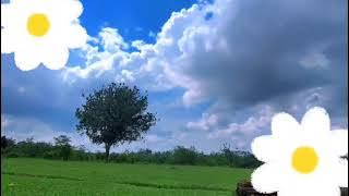 Xbal C - Tentangmu (Official musik video)