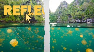 Remove Lens Reflections with Adobe Camera RAW