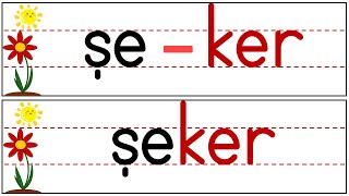 Ş Sesi Kelime Okuma Çalışması / TÜM KELİMELER / PDF FORMATLI