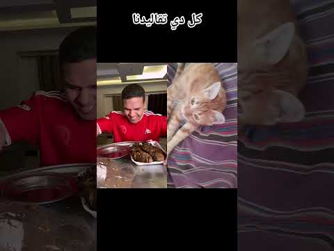 ههههههه الشتاء احسن طبعا اضحك معانا وفرفش ودوس اشتراك