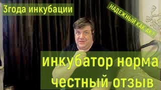 инкубатор норма честный отзыв