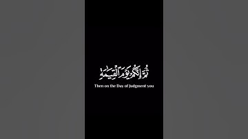 #سورة_الزمر#ياسر_الدوسري #القرآن_الكريم #quran #اللهم_صل_وسلم_على_نبينا_محمد #شاشه_سوداء #capcut
