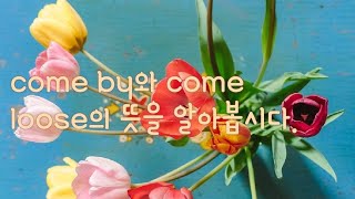 444강 홍익인간 Alright 쌤. come by와 come loose의 뜻을 알아봅시다.