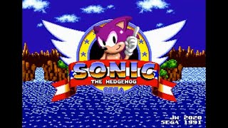 Celebrity Sonic Hack Longplay - Theo in Sonic the Hedgehog Net Worth