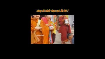 Các Sư Nhỏ🌟Đi Khất Thực Tại Ấn Độ🍃