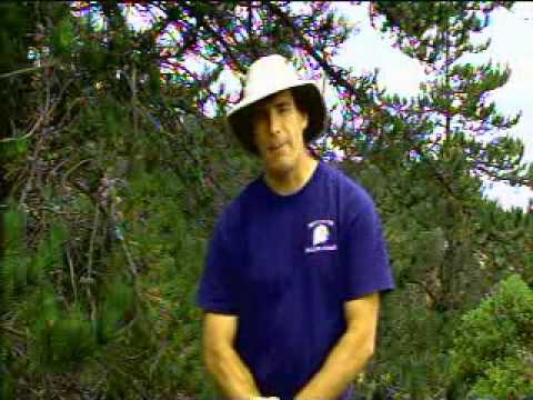 PH - Banding Day 2010 -- Introduction by Ranger Derek Lohuis & Dr. Peter Sharpe