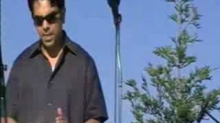 The Tributaries-She's Not There