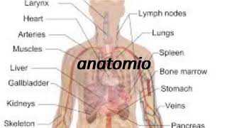 How to say anatomy in Esperanto