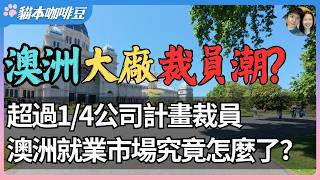 澳洲裁员潮从银行蔓延到工厂？超过四分之一的公司计划裁员，失业压力逼近普通家庭？| 为什么澳洲一边裁员，一边又招不到人？| 澳洲与新西兰移民生活深度分享 | 猫本咖啡豆