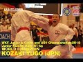 WKF2015 Junior Kumite Male -61 kg World champion KOZAKI YUGO (JPN)